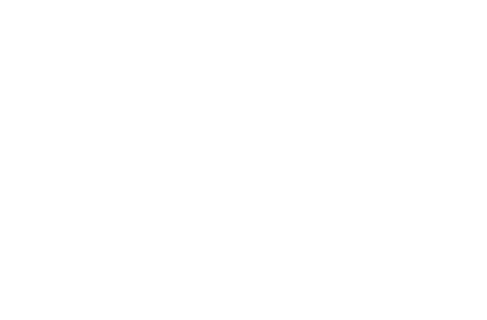 Rubens Jr 1300